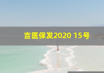 吉医保发2020 15号